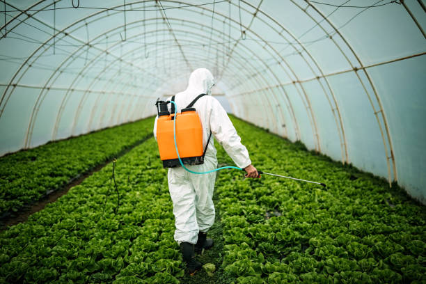 Best Pest Removal Services  in Williamsburg, PA