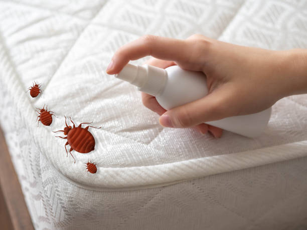 Best Termite Control Services  in Williamsburg, PA
