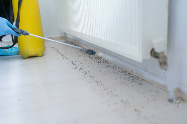 Pest Control for Restaurants in Williamsburg, PA