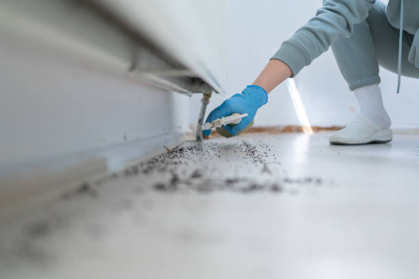 Williamsburg, PA Pest Control Company